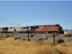 Interesting pair East of Kingman 